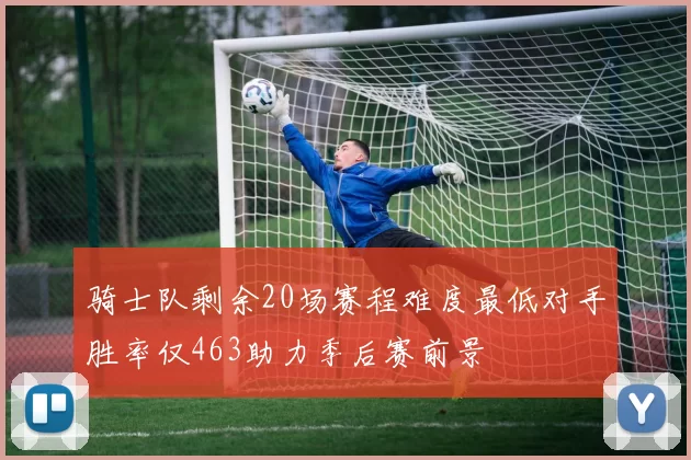 骑士队剩余20场赛程难度最低对手胜率仅463助力季后赛前景